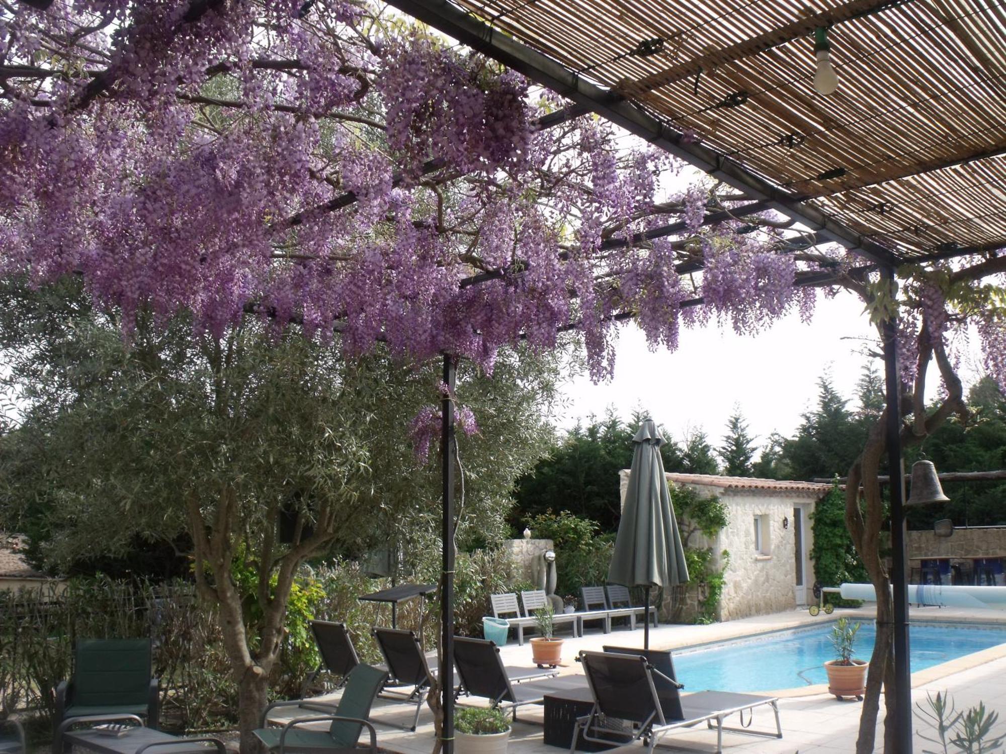 Villa Le bonheur au soleil Saint-Maximin Exterior foto